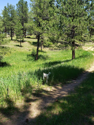Cub Creek Park