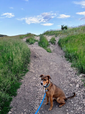 Elk Meadow Park