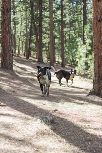 Elk Meadow Park Stagecoach Trailhead