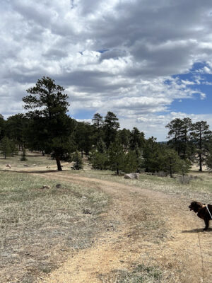Fillius Park