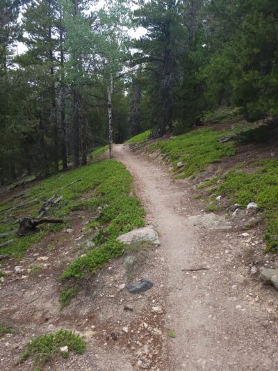 Elk Meadow Park - Evergreen, CO