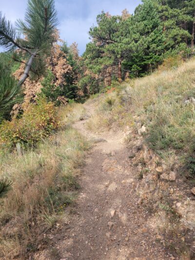 Elk Meadow Park - Evergreen, CO