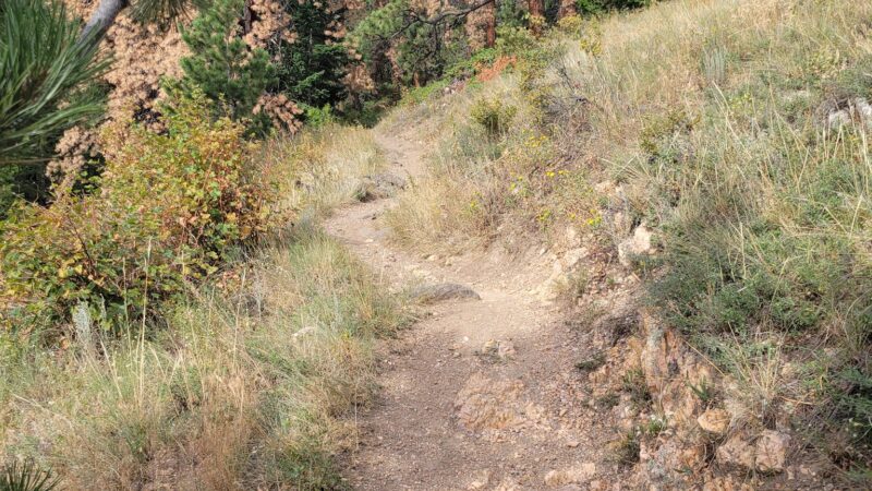 Elk Meadow Park - Evergreen, CO