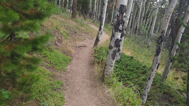Elk Meadow Park - Evergreen, CO