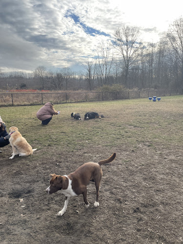 Evesham Township Dog Park