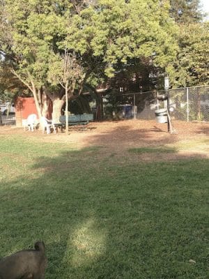 Exeter Bark Park
