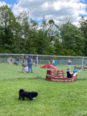 Fur Haven Dog Park