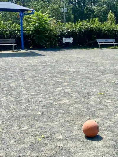 Fairfax City Dog Park - Fairfax, VA