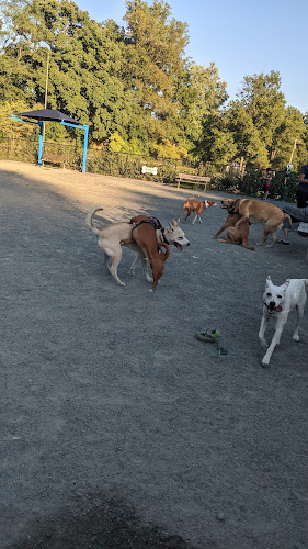 Fairfax City Dog Park