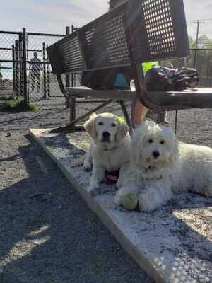 Monticello Dog Park