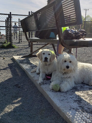 Monticello Dog Park
