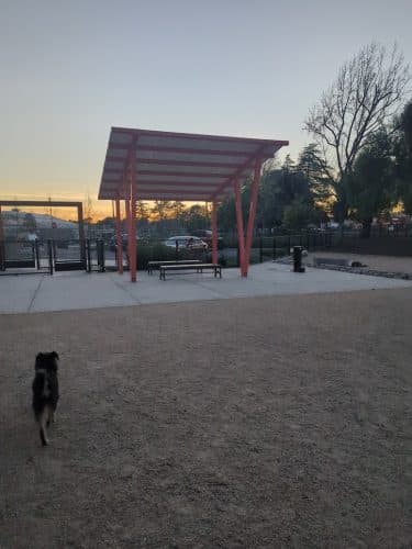Dog park - Fairfield, CA