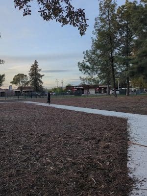 Dog park - Fairfield, CA