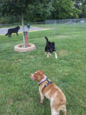 Fairfield Glade Dog Park