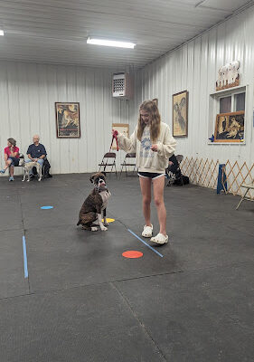 Blue Ridge K-9 Training Center