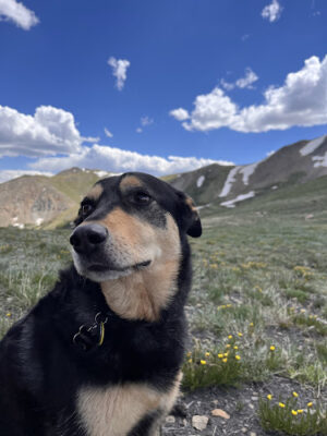 French Pass Trailhead