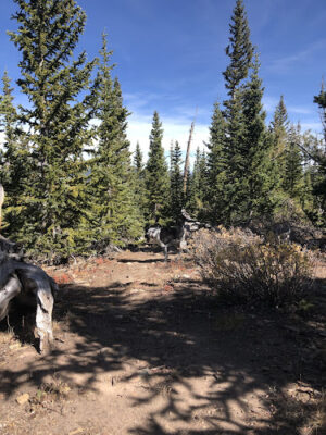 Pika Trail Trailhead