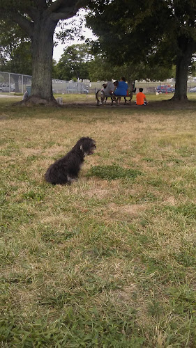 Jose Silva Dog Park