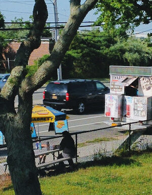 Breezy Dogs Food Truck