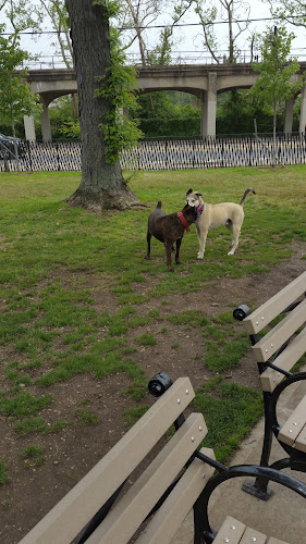 Rockaway Freeway Dog Run