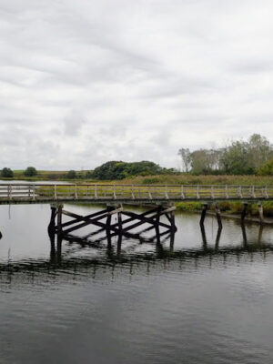 Rockaway Community Park
