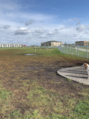 Brandt Crossing Park & Dog Park