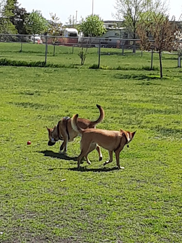 Dog park