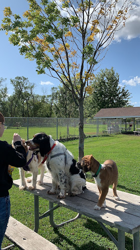 North Fargo Dog Park