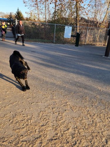 White Sands Dog Park