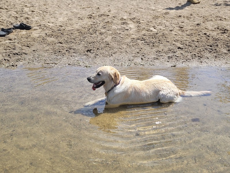 White Sands Dog Park - Faribault, MN