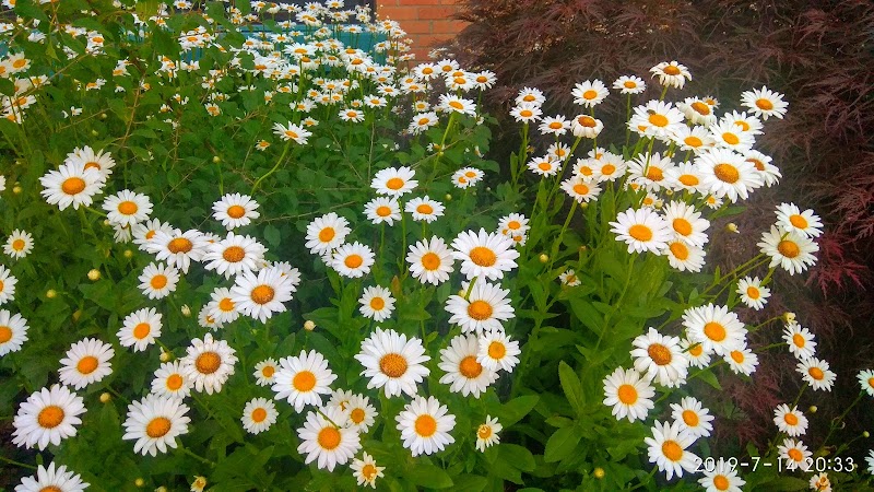 Drake Park (Farmington) - Farmington,
