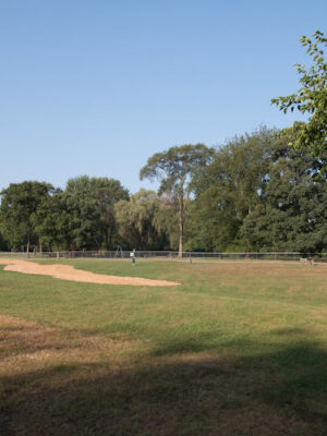 William Grace Dog Park