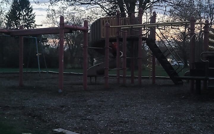 William Grace Dog Park - Farmington Hills, MI