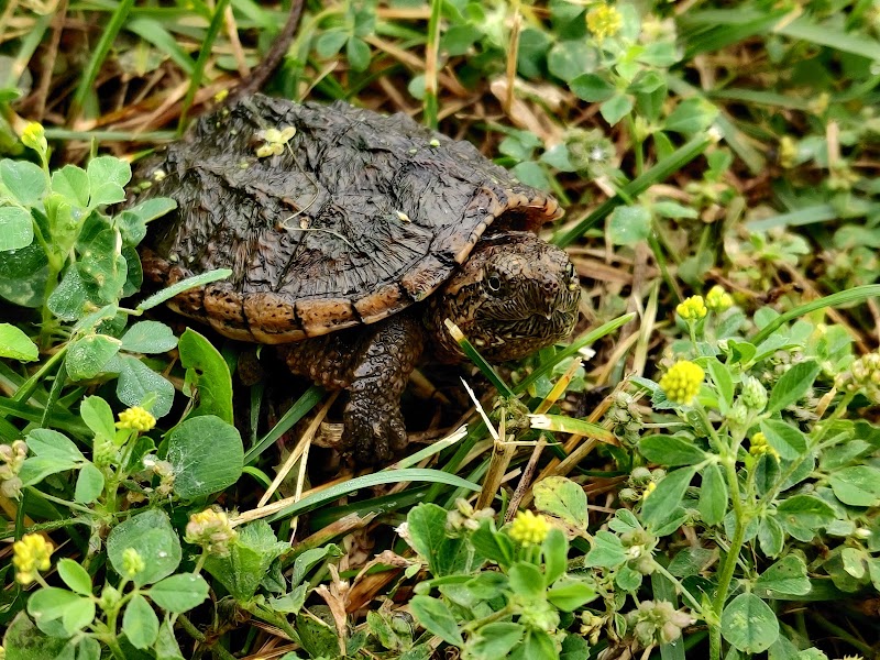 Farmington Preserve Park - Farmington, MN
