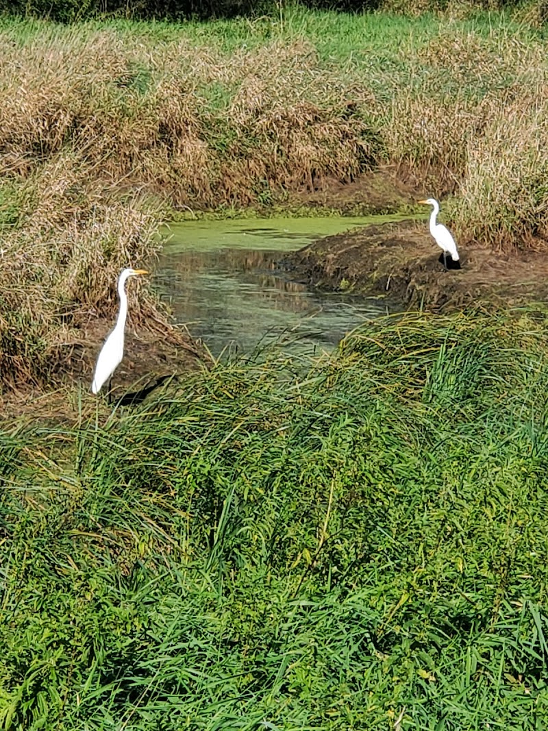 Farmington Preserve Park - Farmington, MN