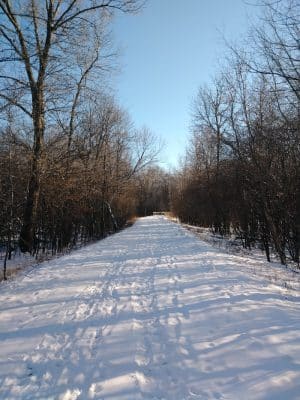 Farmington Preserve Park