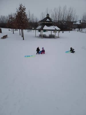 Farmington Preserve Park