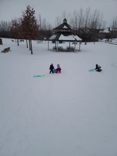 Farmington Preserve Park