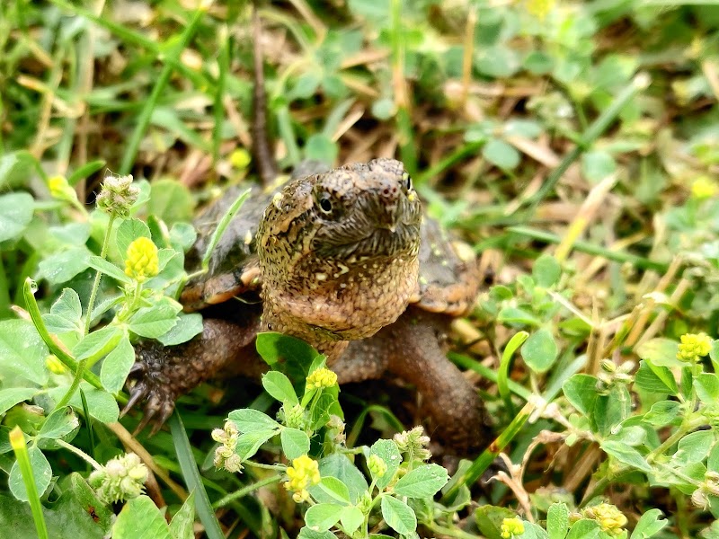 Farmington Preserve Park - Farmington, MN