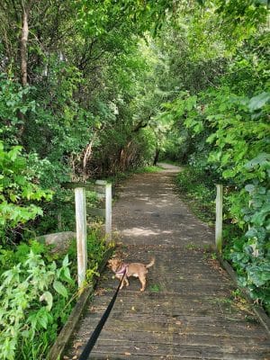 Meadow View Park