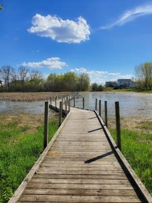 Meadow View Park