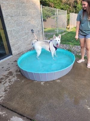 Steinmetz Stay and Play LLC