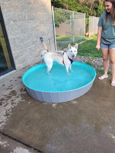 Steinmetz Stay and Play LLC