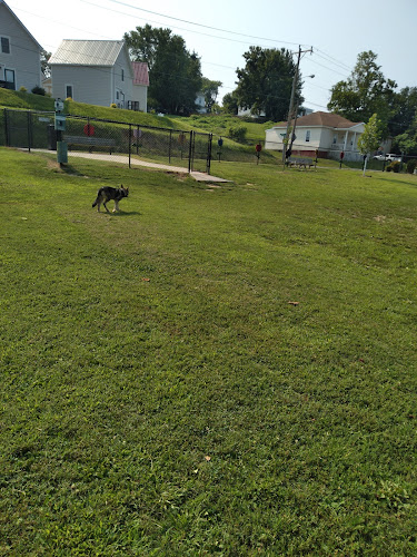 Dog Park