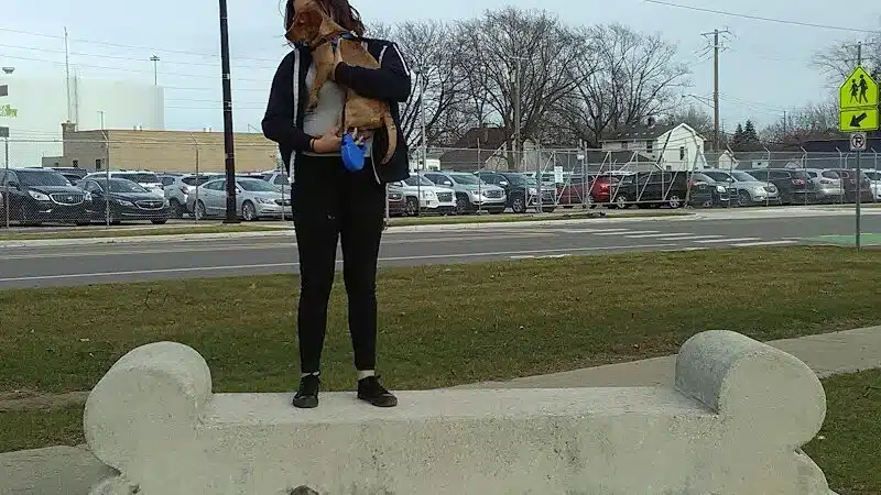 Ferndale Dog Park (Membership Required) - Ferndale, MI