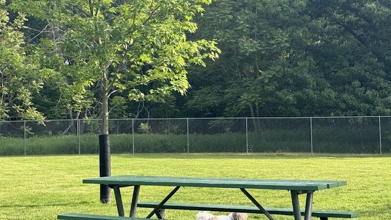 Dog Park at Coast Guard Park - Ferrysburg,