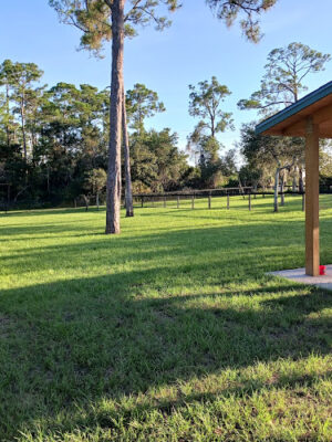 Wadsworth Dog Park