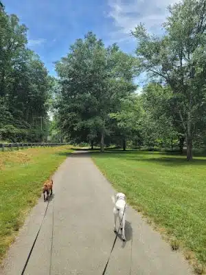The Park at Flat Rock - Flat Rock, NC