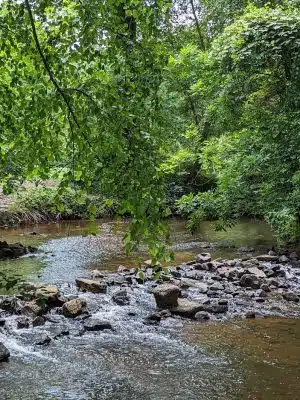 The Park at Flat Rock - Flat Rock, NC