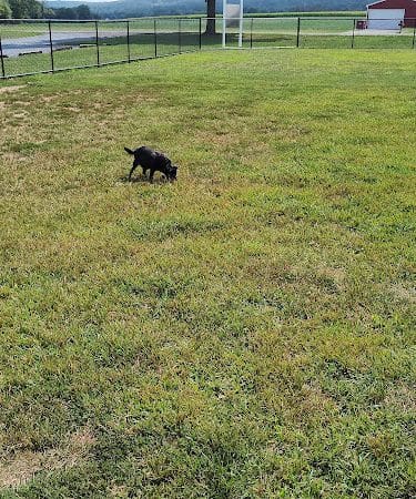 Maidencreek Township Dog Park